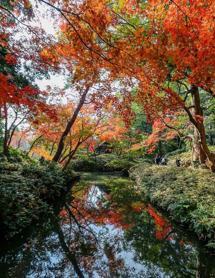 Autumn Color Reports 2018 - Tokyo: Peak Colors