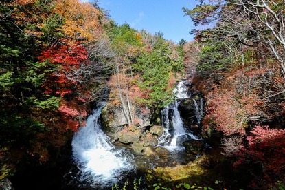 Autumn Color Reports 2018 - Nikko: Peak Colors