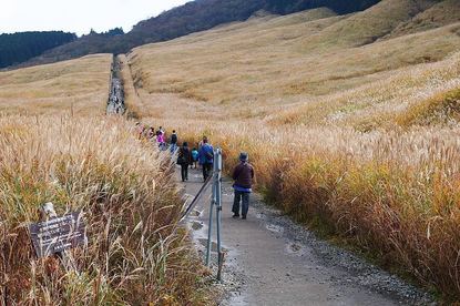 Autumn Color Reports 2018 - Hakone: Approaching Peak