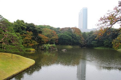 Autumn Color Reports 2018 - Tokyo: Starting to Change