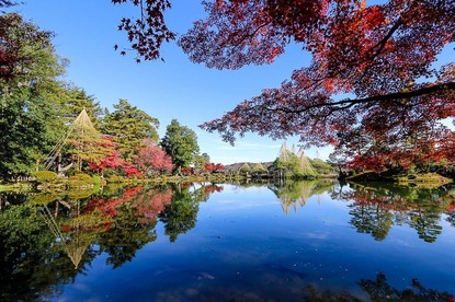 Autumn Color Reports 2018 - Kanazawa: Peak Colors