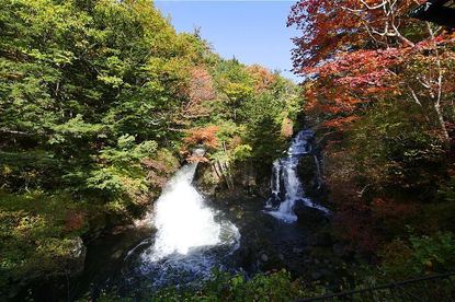 Autumn Color Reports 2019 - Nikko: Approaching Peak