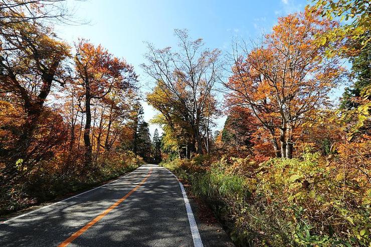 Autumn Color Reports 2019 - Alpine Route: Beyond Peak