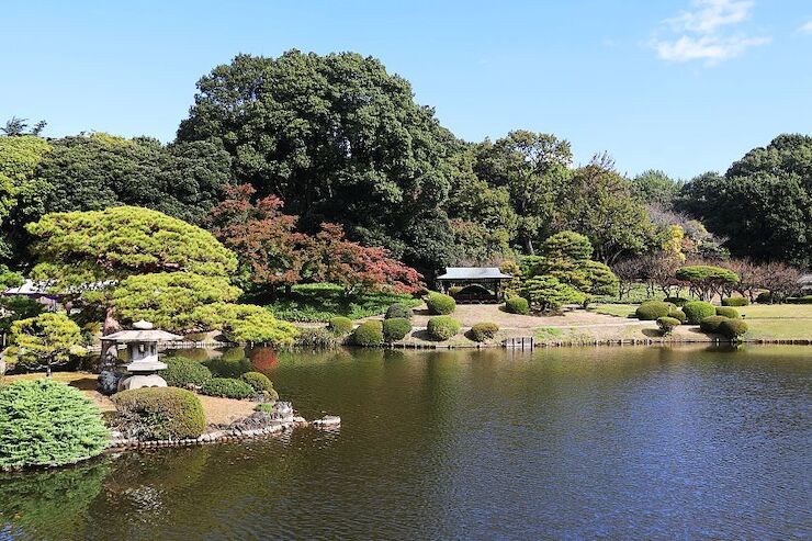 Autumn Color Reports 2020 - Tokyo: Starting to Change