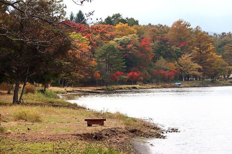 Autumn Color Reports 2020 - Mount Fuji: Peak Colors