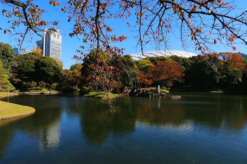 Autumn Color Reports 2023 - Tokyo: Starting to Change