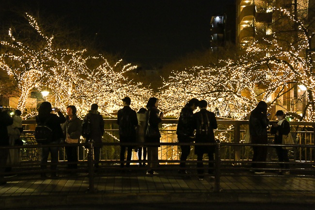 Raina's Japan Travel Journal: Winter Illuminations in Tokyo