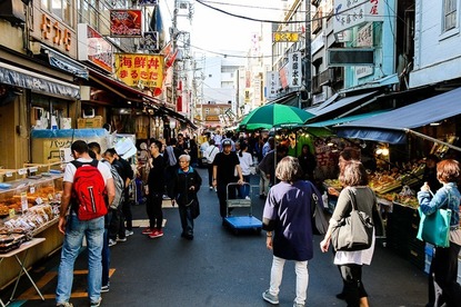 Raina's Japan Travel Journal - Business as usual at Tsukiji Outer Market