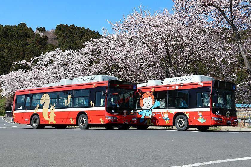 Japan bus. Автобусы в Японии. Туристический автобус Япония. Общественный транспорт в Японии. Городской транспорт Японии.