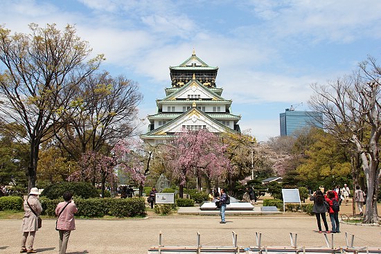 Schauwecker S Japan Travel Blog Cherry Blossom Report Osaka