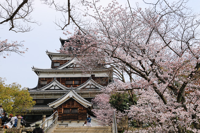 Cherry Blossom Reports 2016 - Hiroshima: Approaching Full Bloom