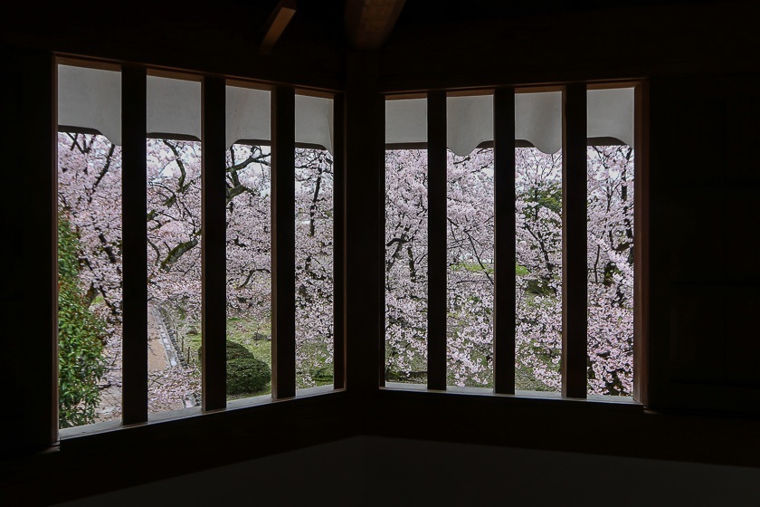 Cherry Blossom Reports 2017 Himeji Petals Starting To Fall