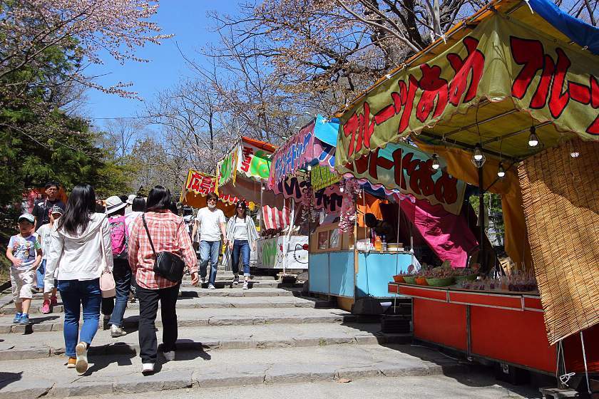 Cherry Blossom Reports 2017 - Sapporo: Full Bloom