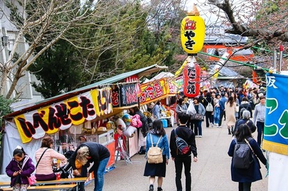 Cherry Blossom Reports 2017 - Kyoto: About To Open