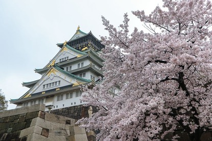 Cherry Blossom Reports 2017 - Osaka: Full Bloom