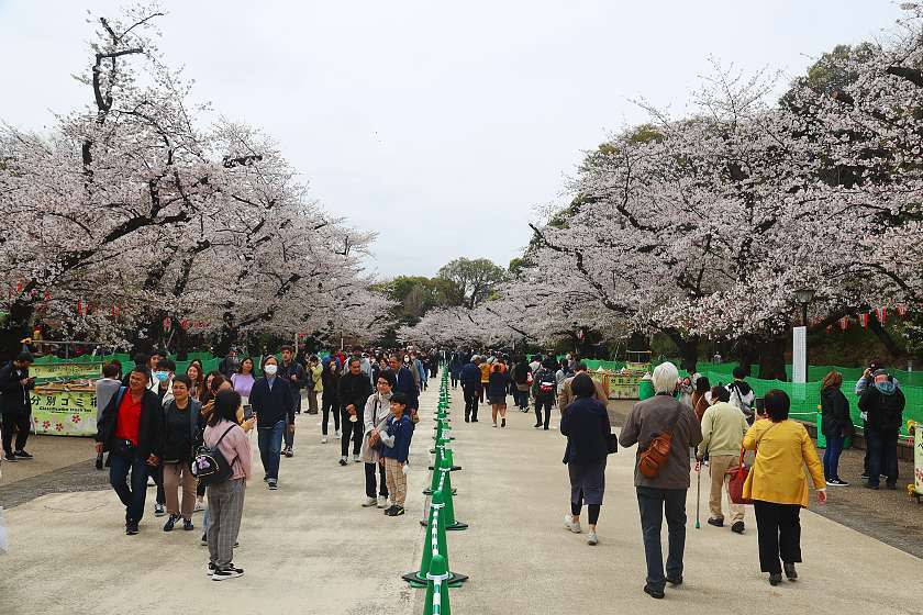 What's the weather like in Tokyo in March?