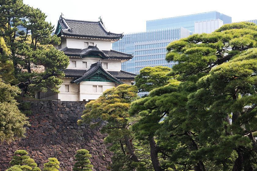 Cherry Blossom Reports 2023 - Tokyo: Petals Starting To Fall