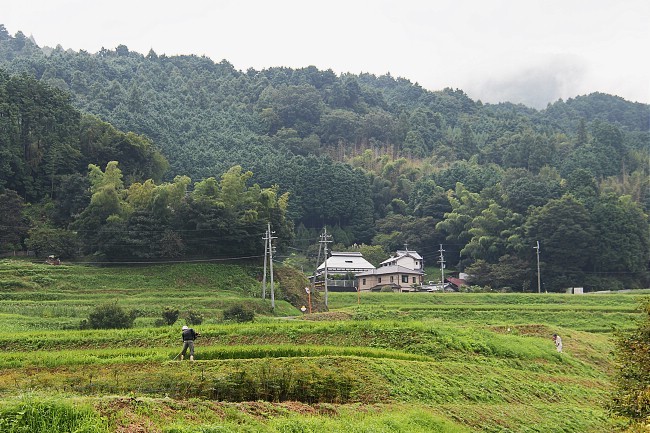 Sam's Japan Travel Journal: Walking the Roots of Japan