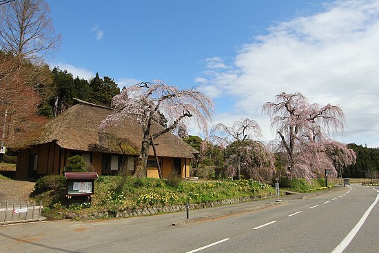 Schauwecker's Japan Travel Blog: After the Earthquake: A trip to Hiraizumi