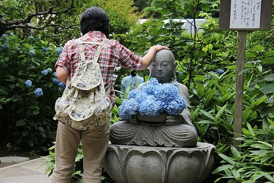 Sean's Japan Travel Journal: Hydrangea Flowers in Kamakura