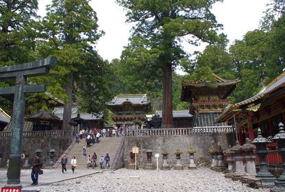 Japan Travel Reports: Best of Japan - Shrines