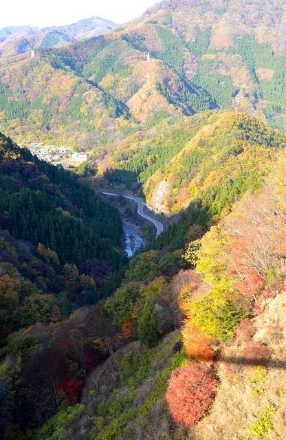 Japan Travel Reports: Ueno-mura Sky Bridge and Fall Colors