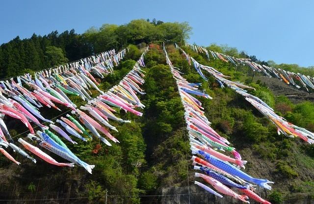 Japan Travel Reports Kanna Machi Koi No Bori Festival