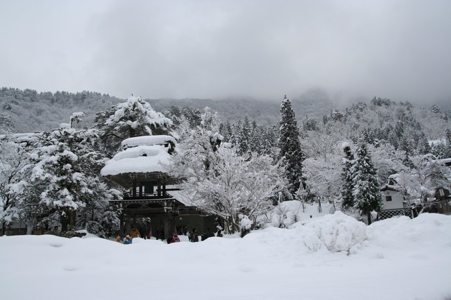 Japan Travel Reports: shirakawago at winter
