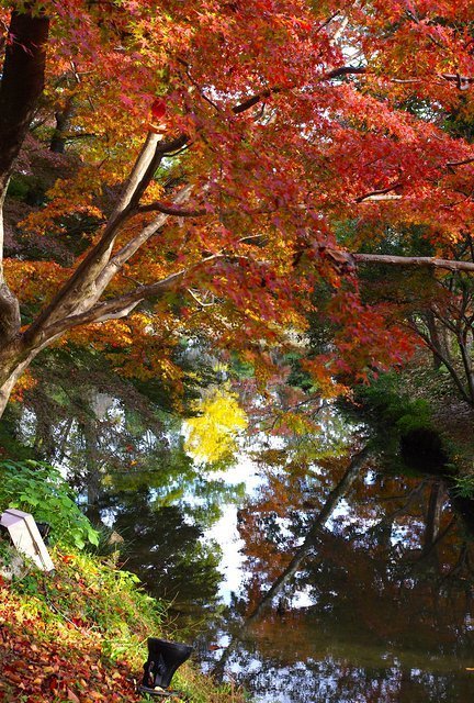 Japan Travel Reports: Kyoto Autumn Report - Arashiyama Part 2