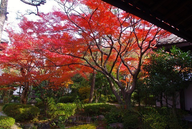 Japan Travel Reports: Kyoto Autumn Report - Central Kyoto to Higashiyama