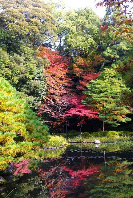 Japan Travel Reports: Kyoto Autumn Report - Central Kyoto to Higashiyama