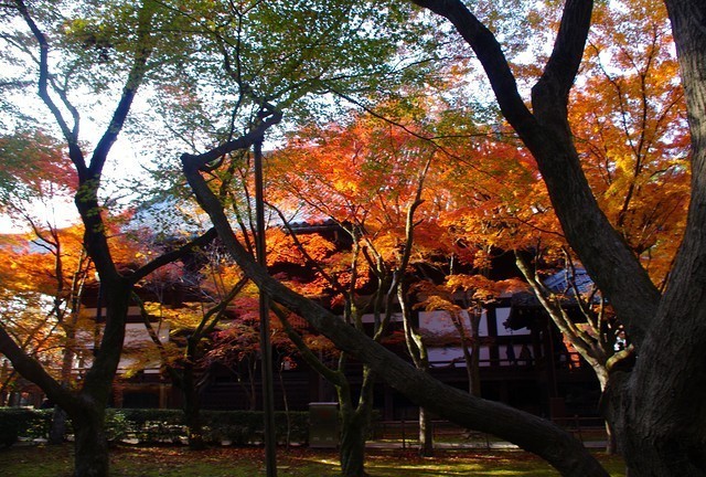 Japan Travel Reports: Kyoto Autumn Report - Central Kyoto to Higashiyama