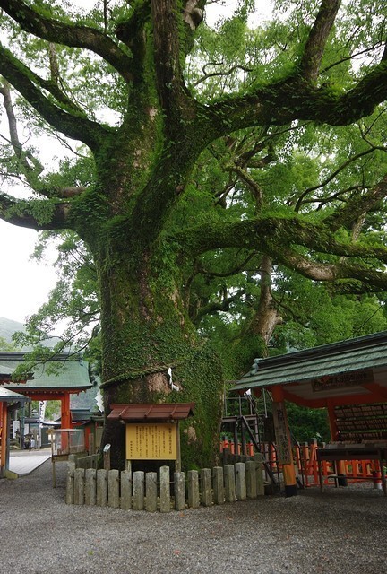 Japan Travel Reports: Nachi Taisha & Kii-Katsuura - Wakayama