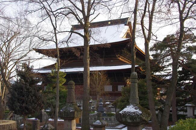 Japan Travel Reports: Yamanouchi Snow Monkeys & Nagano Zenkoji Temple