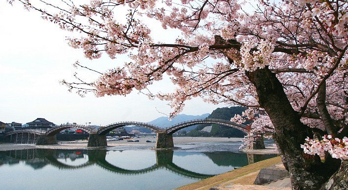 Iwakuni Travel Guide