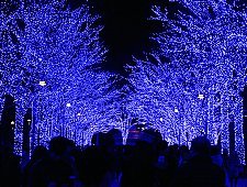 21 Winter Illuminations In Tokyo