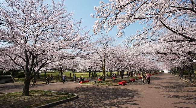 Osaka Travel: Expo '70 Commemorative Park