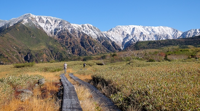 Tateyama Kurobe Alpine Route Travel: Midagahara Wetlands