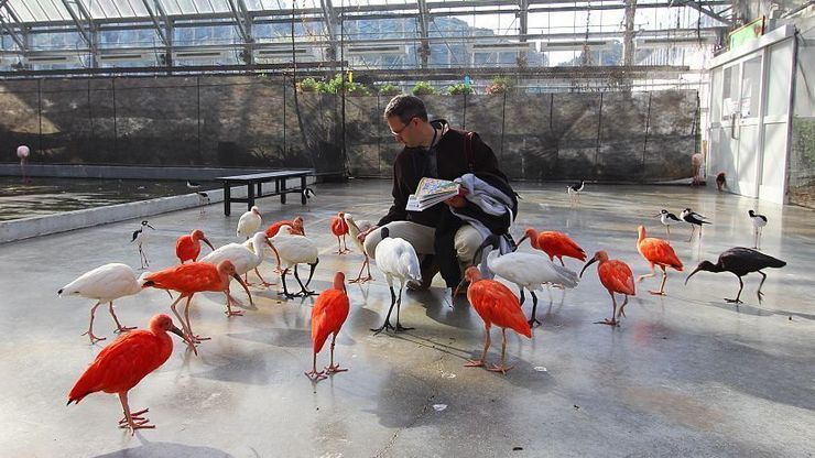 Kakegawa Bird Park - Kakegawa Travel