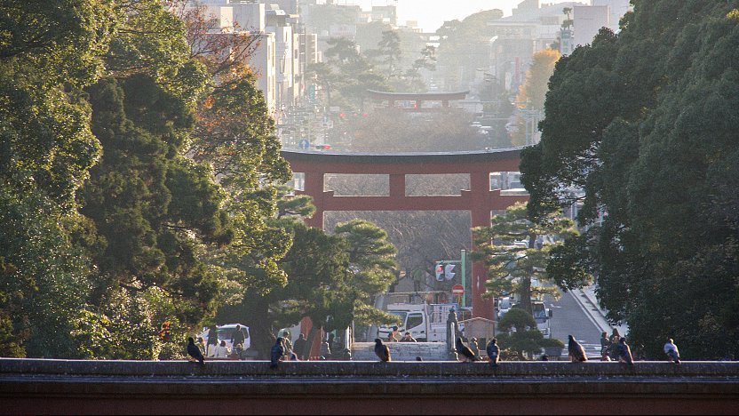 Tsurugaoka Hachimangu Shrine - Kamakura Travel