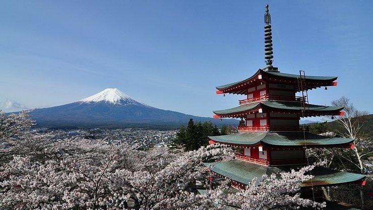 A Beginner's Guide to Cherry Blossom Viewing: How to do hanami?