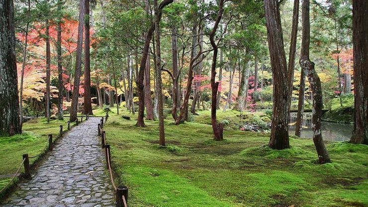 Kokedera (Moss Temple) - Kyoto Travel