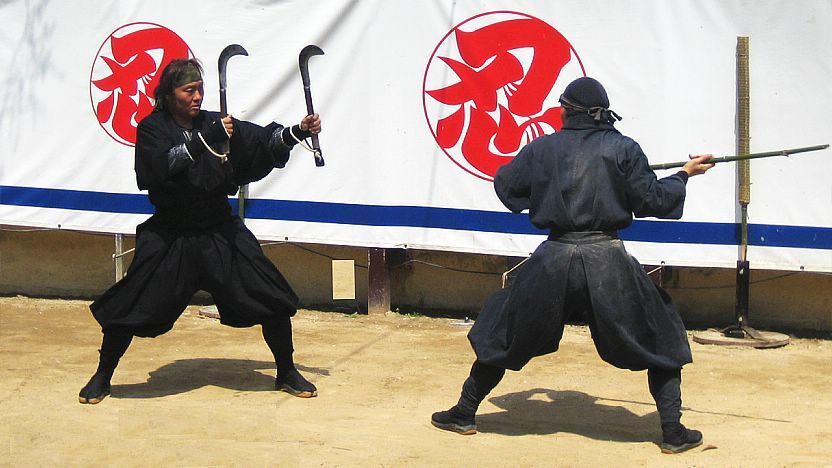 ninjutsu history