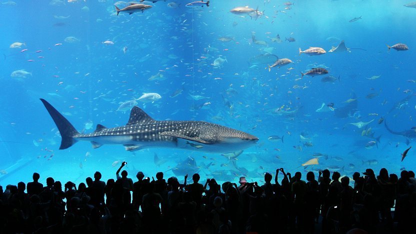Aquariums in Japan