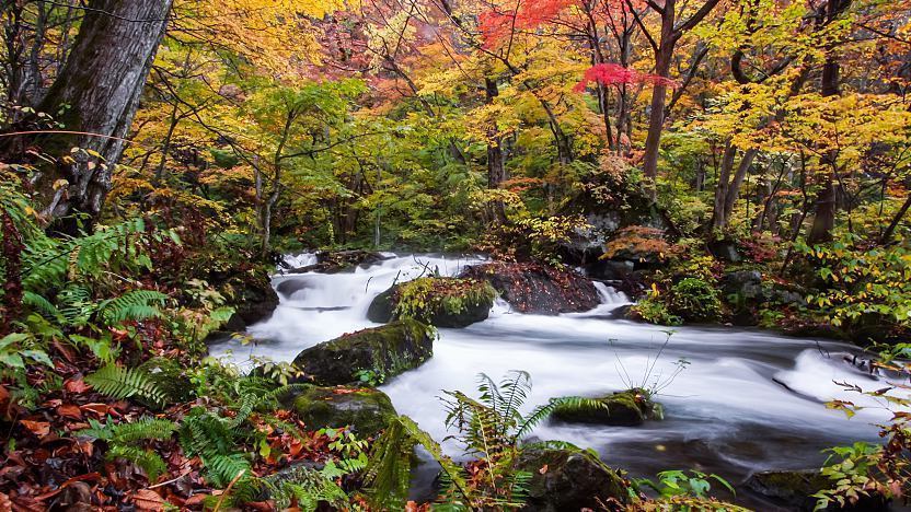 Oirase Stream - Towada Travel