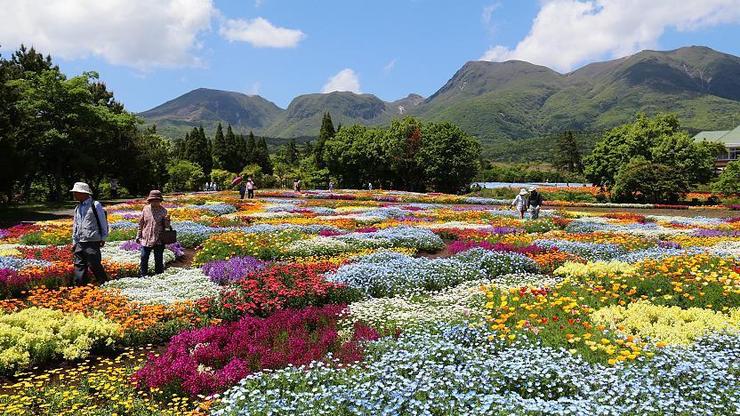 Kuju Flower Park - Kuju Travel