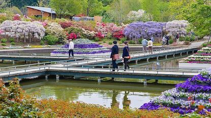 Ashikaga Flower Park - Tochigi Travel