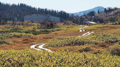 Midagahara Wetlands - Tateyama Kurobe Alpine Route