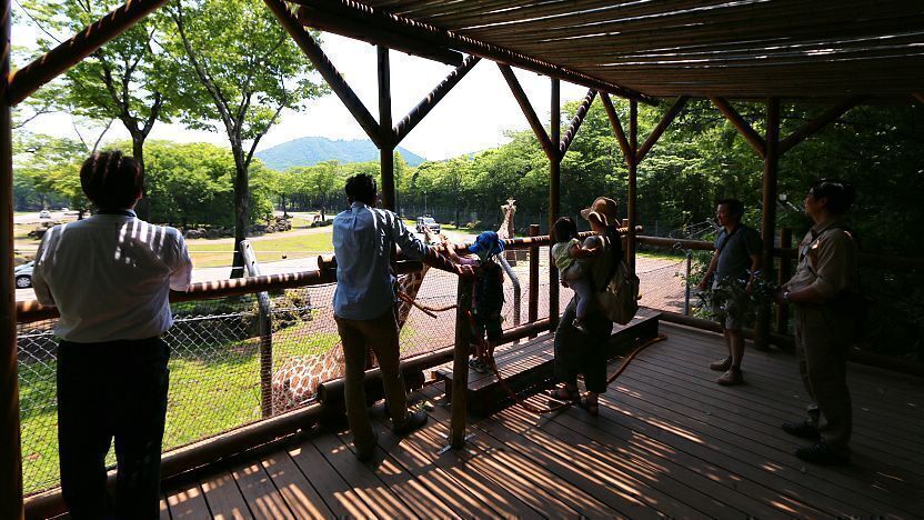 fuji safari park wiki