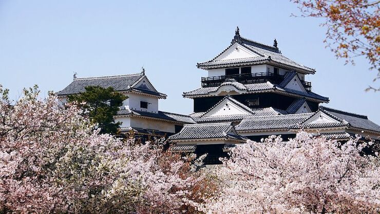 Matsuyama Castle - Matsuyama Travel